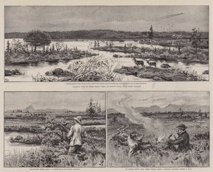 Agricultura e Esporte na Terra Nova